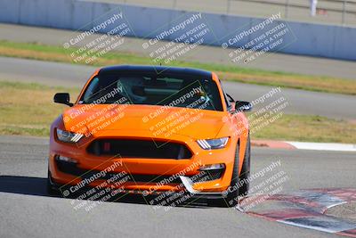 media/Oct-01-2022-Speed Ventures (Sat) [[c274cbe0b4]]/PURPLE GROUP/Session 3 Turn 13/